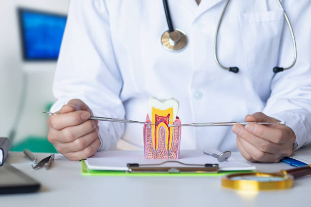 Best Emergency Wisdom Teeth Removal in Moody, TX